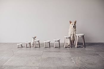 PECOLO Food Stand Ltall　オリーブ PECOLO Food Stand Ltall オリーブ Food Stand Ltall - PECOLO